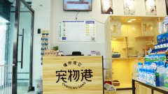 開家寵物店加盟能賺錢嗎