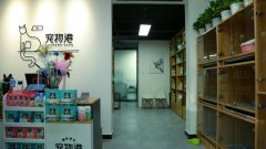  怎么提升寵物加盟店?duì)I業(yè)額