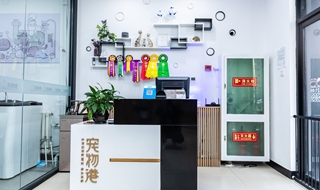 想長(zhǎng)久發(fā)展寵物店應(yīng)該怎樣做